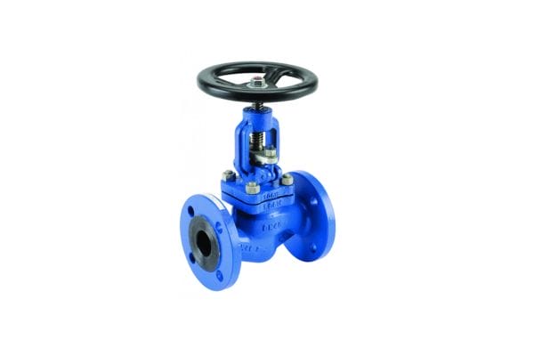 Globe Valve