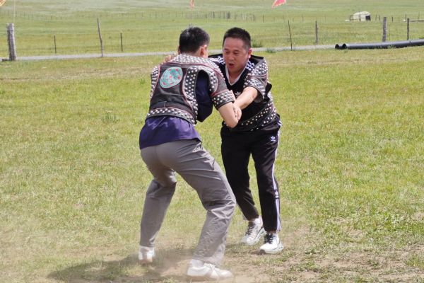 wrestle