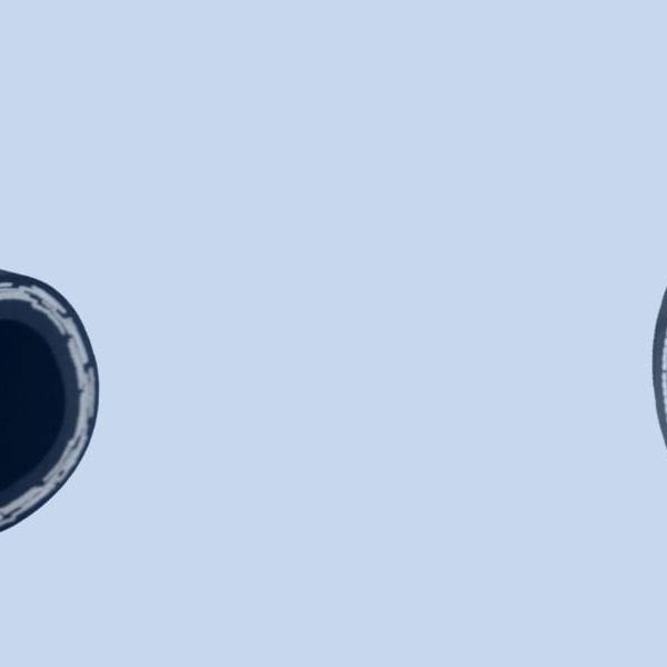 2 Wire vs 4 Wire Hydraulic Hose banner