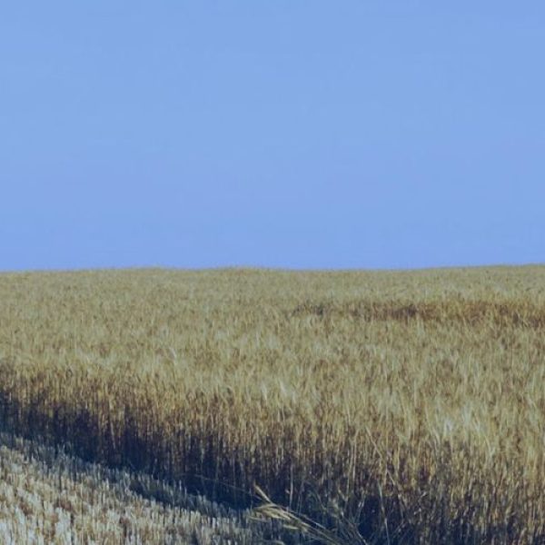 How to Avoid Overtightening Reusable Fittings