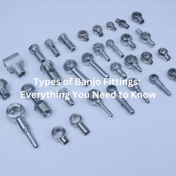 Types of Banjo Fittings Everything You Need to Know